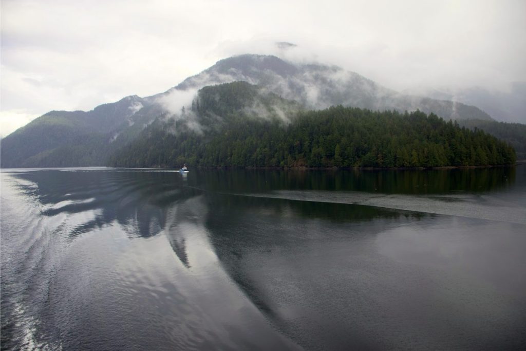 Wildlife watching in canada and alaska.